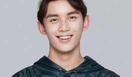 娱乐圈吃瓜指南吴磊,娱乐圈吃瓜指南中的青春偶像