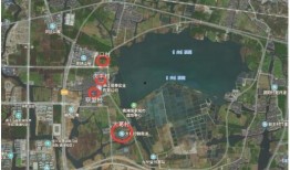 柯岩最新爆料消息,揭秘娱乐圈惊人内幕！